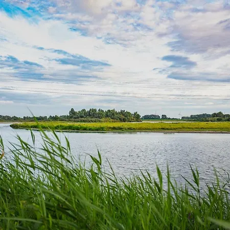 Lavender شقة Achthuizen